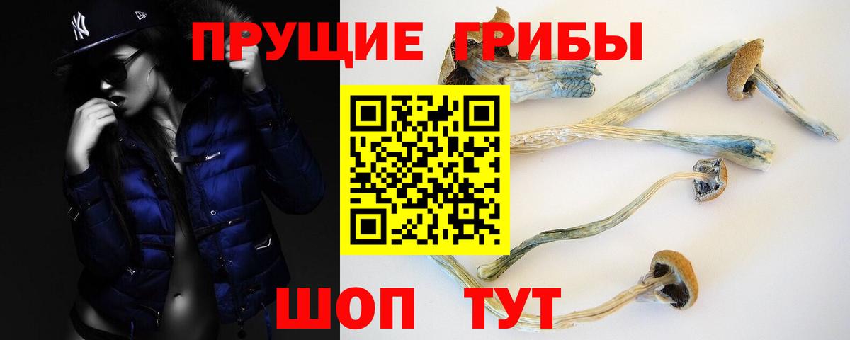 Галлюциногенные грибы Cubensis  Галлюциногенные грибы Magic Shrooms  Арзамас  Вход с VPN 